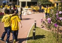 noticia Nesse Dia do Amigo, seja a mão que ajuda!