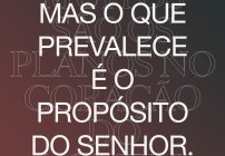 noticia PALAVRA DE HOJE - REALIZAÇÃO DE PLANOS