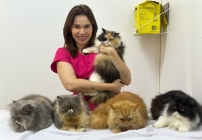 noticia Letícia Alves exalta sua paixão e dedicação ao mundo pet  com atendimento às reaças dos felinos