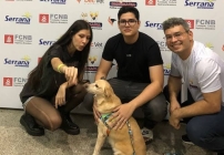 noticia Sana começa na sexta-feira com maior evento de adoção de animais do Ceará