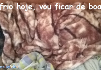 noticia Frase do escritor Thiago Winner