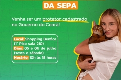 noticia Mutirão de cadastro da Sepa para protetores