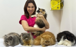 noticia Letícia Alves exalta sua paixão e dedicação ao mundo pet  com atendimento às reaças dos felinos