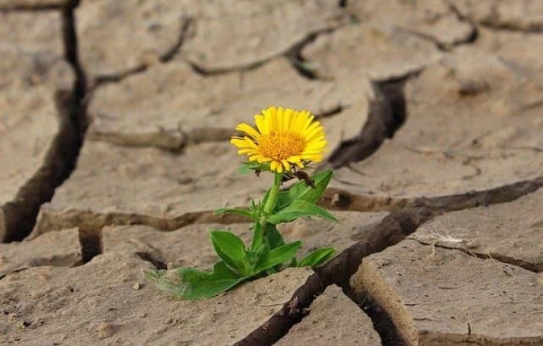 noticia PALAVRA DE HOJE - UMA TERRA SEM FÉ