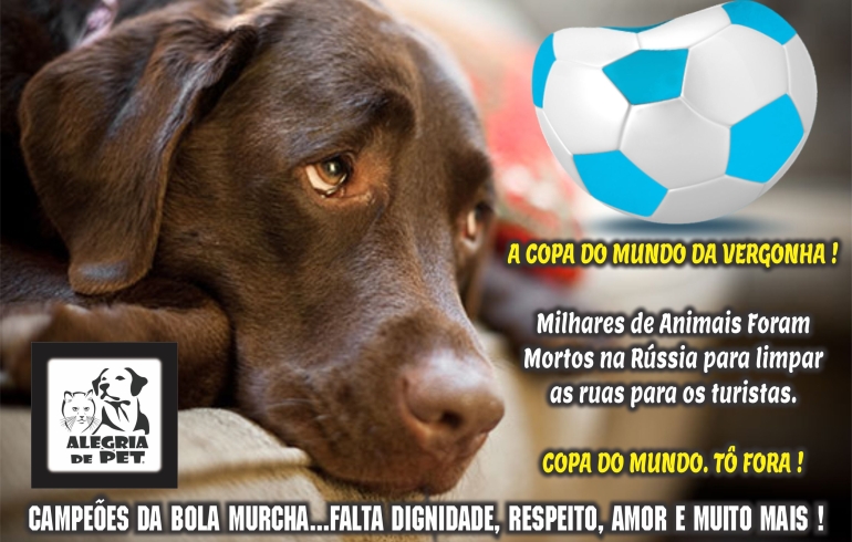 noticia A COPA DO MUNDO DA VERGONHA