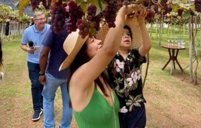 noticia Vila Don Patto anuncia sua quinta edição da tradicional festa da “Colheita da Uva”