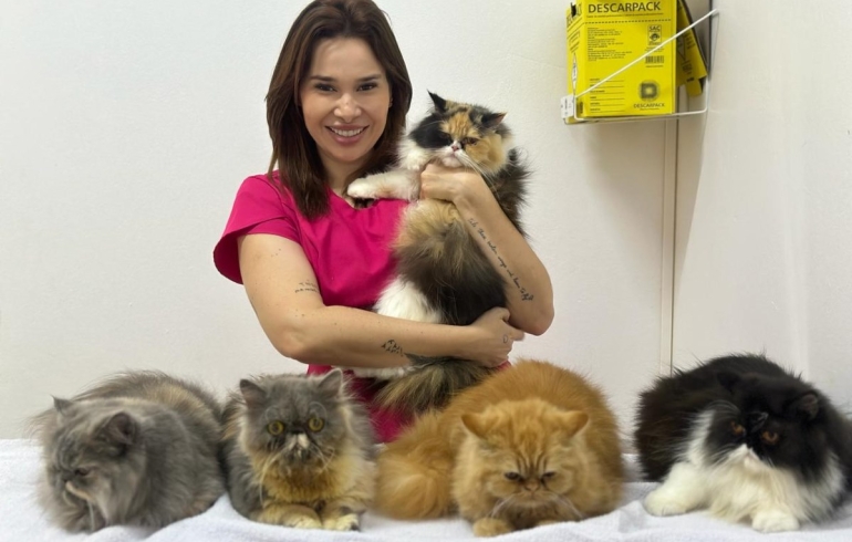 noticia Letícia Alves exalta sua paixão e dedicação ao mundo pet  com atendimento às reaças dos felinos