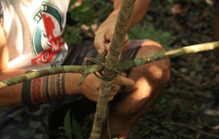 noticia Curso on-line Sobrevivência na selva