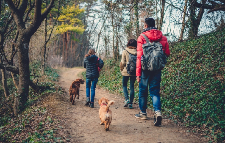 noticia Turismo de 4 patas, EcoPet roteiros especializados para seu amiguinho de 4 patas