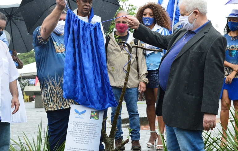 noticia Símbolo da força, Portela planta árvore de Baobá no Parque de Madureira