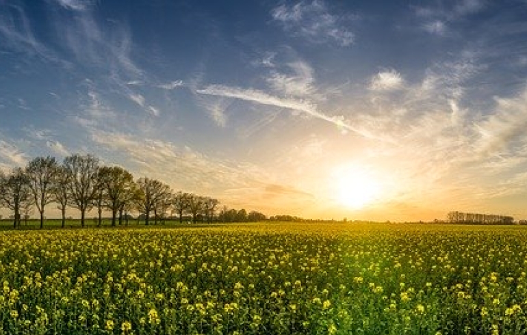 noticia PALAVRA DE HOJE - www.palavradehoje.net