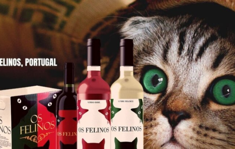 noticia Orion Vinhos anuncia o crescimento da família Felinos e lança branco e rosè