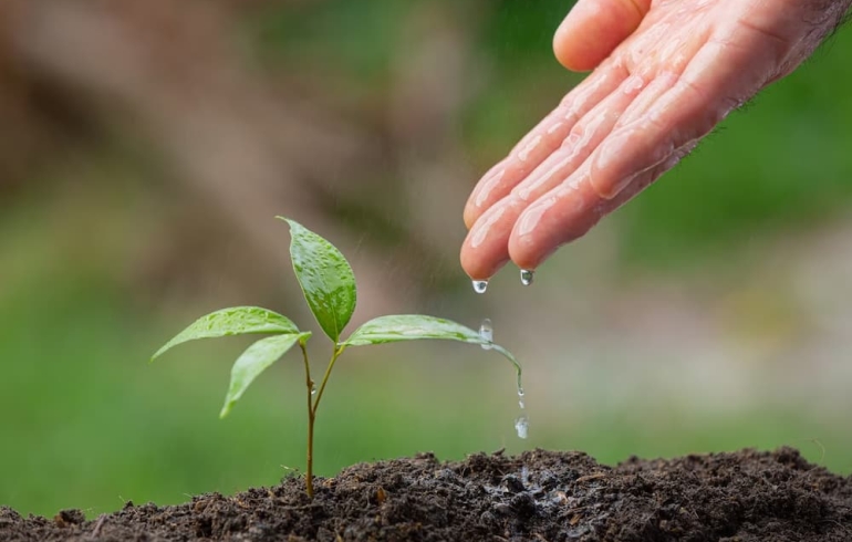 noticia Quais mudanças na sua empresa podem fazer a diferença no meio ambiente?