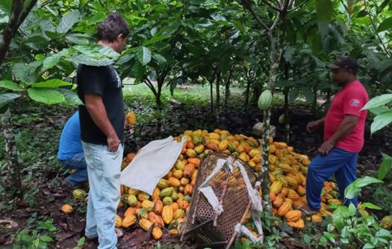 noticia Synergia investe em geração de renda e conservação da floresta amazônica e apresenta o Projeto Redes do Médio Xingu em documentário inédito