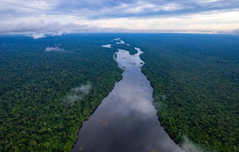 noticia Projeto Redes do Médio Xingu: uma iniciativa privada pela conservação da floresta amazônica em pé com geração de renda 