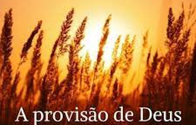 noticia PALAVRA DE HOJE - PROVISÃO DE DEUS