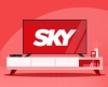 noticia Benefícios da Sky para sua empresa