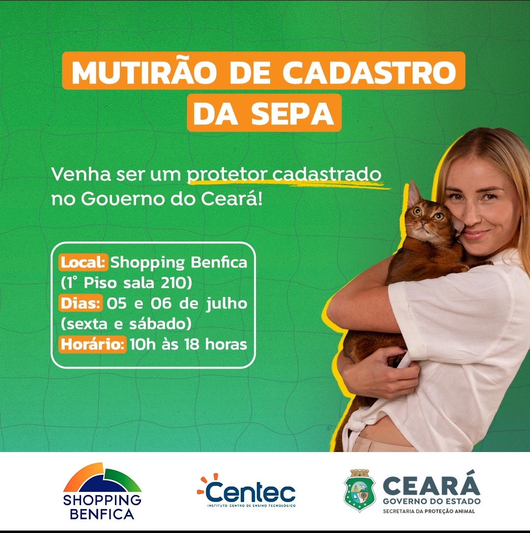 noticia Mutirão de cadastro da Sepa para protetores