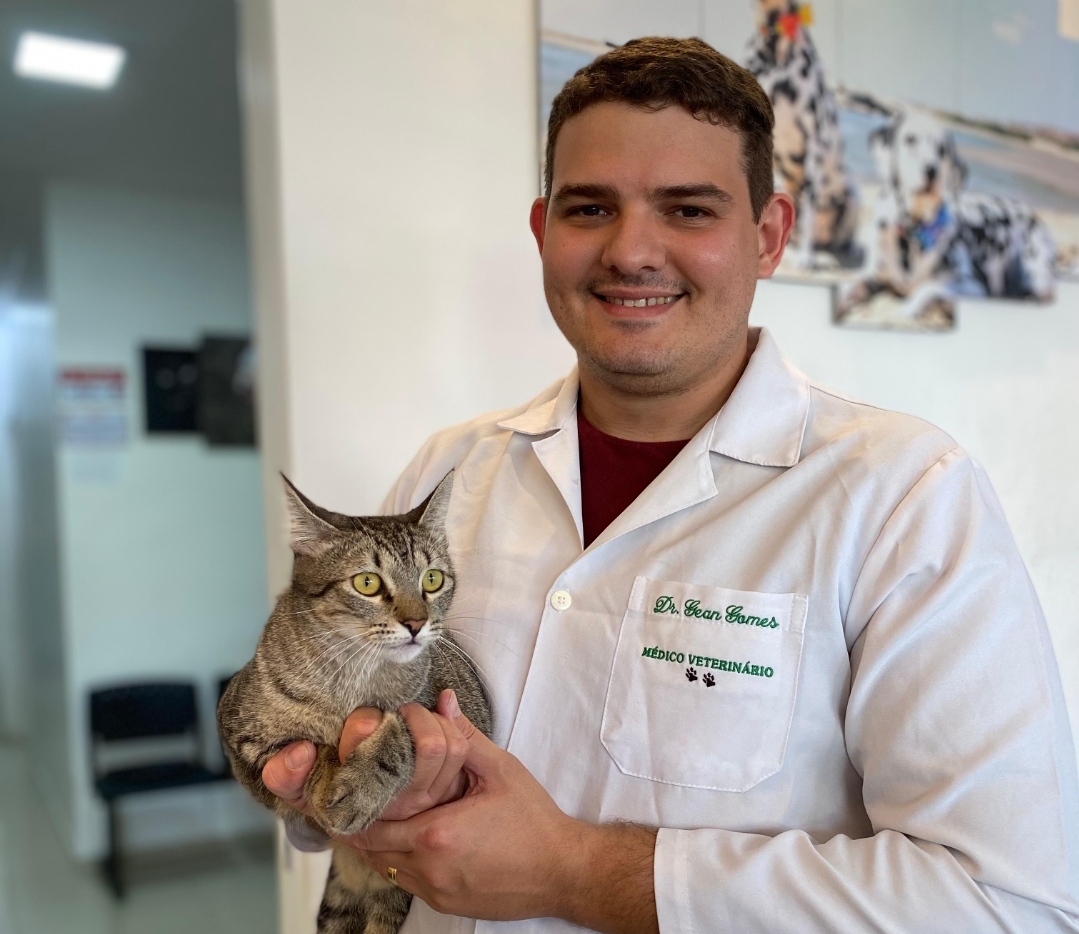 noticia Castração de cães e gatos é fundamental em política de bem-estar animal e saúde pública