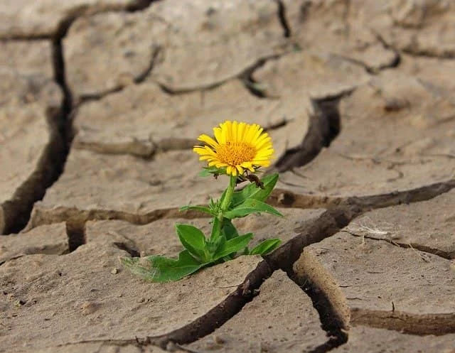 noticia PALAVRA DE HOJE - UMA TERRA SEM FÉ