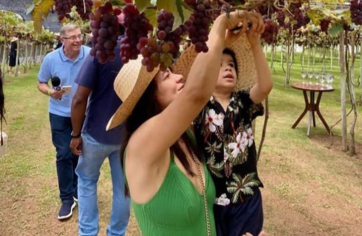 noticia Vila Don Patto anuncia sua quinta edição da tradicional festa da “Colheita da Uva”