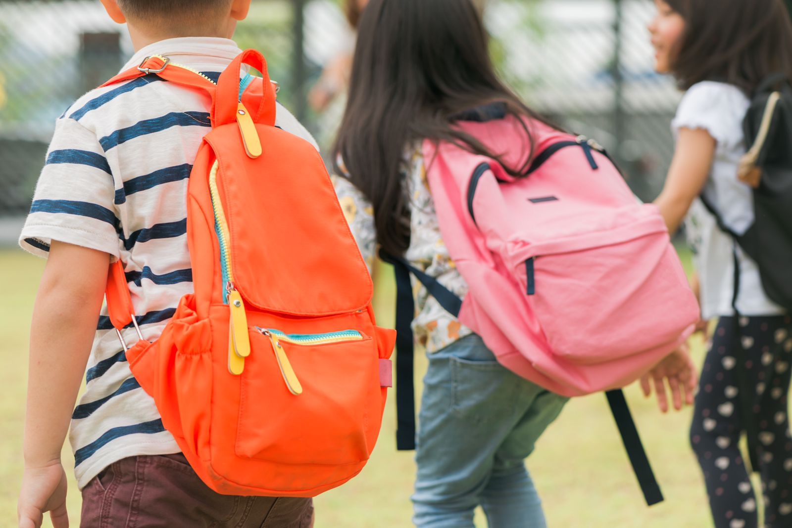 noticia Confira dicas para reaproveitar o fardamento e a mochila escolar na volta às aulas