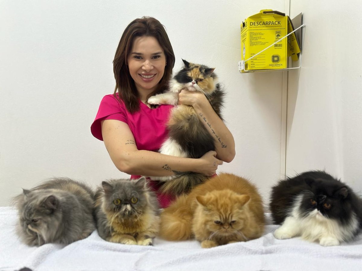 noticia Letícia Alves exalta sua paixão e dedicação ao mundo pet  com atendimento às reaças dos felinos