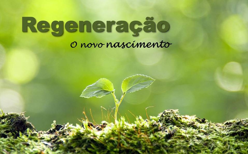 noticia PALAVRA DE HOJE - REGENERAÇÃO